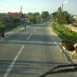 Krvy na rumunskch silnicch